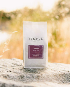 Ethiopia Mulish