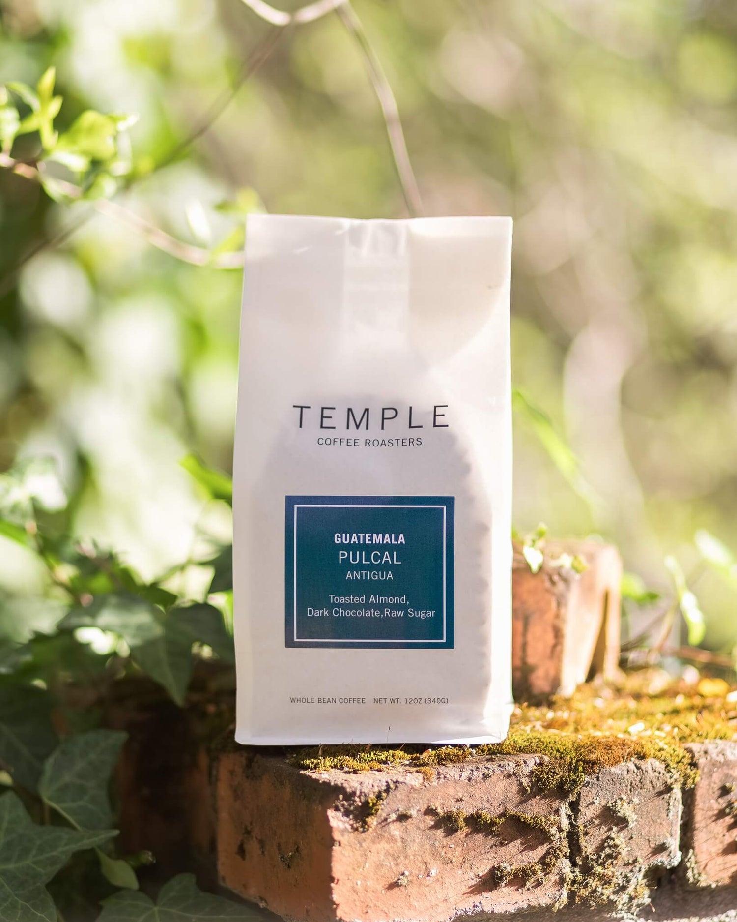 Guatemala Pulcal