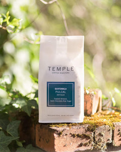 Guatemala Pulcal